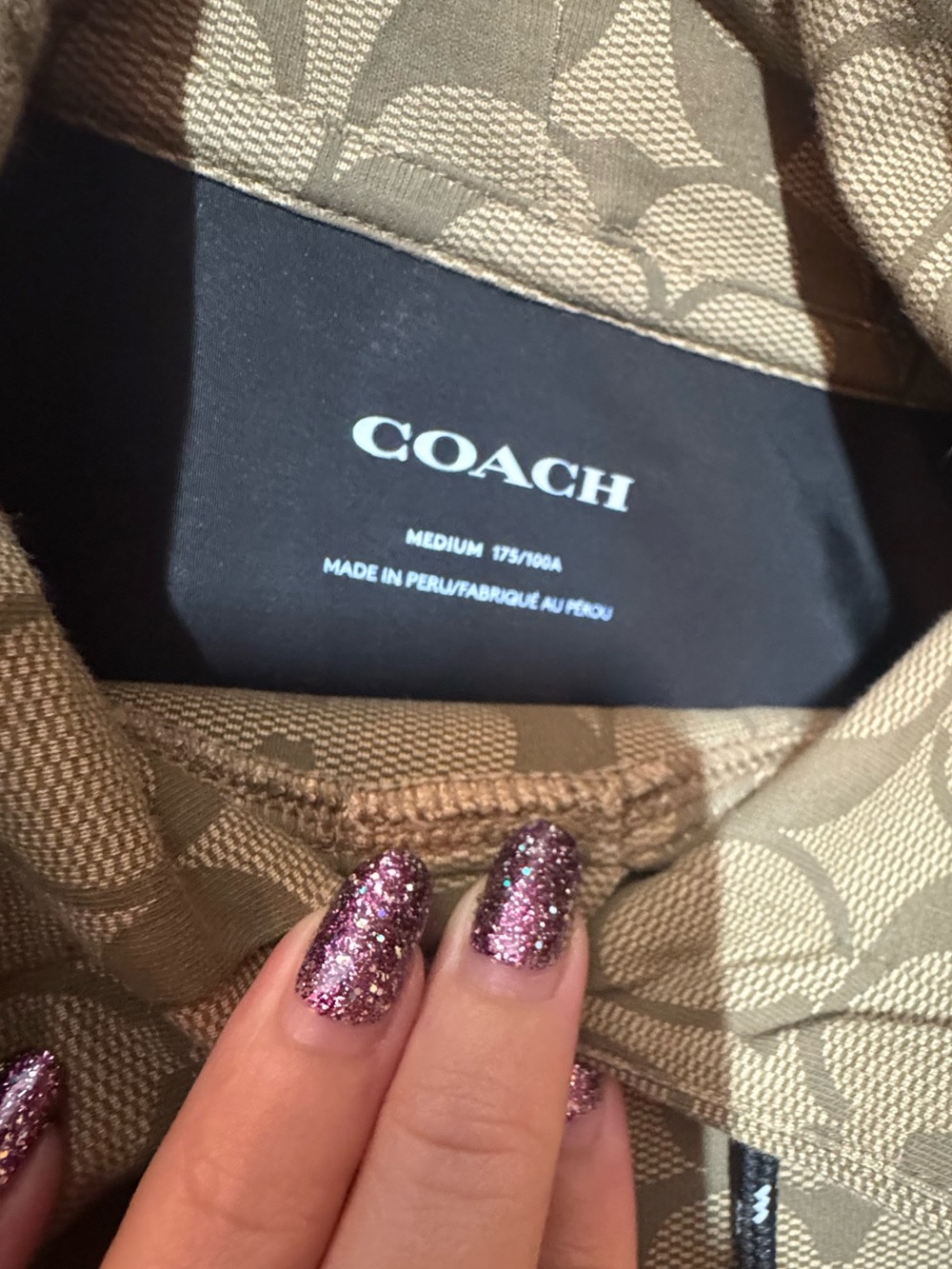 Coach Signature C Hoodie and Joggers Set (medium) - Picture 4 of 13